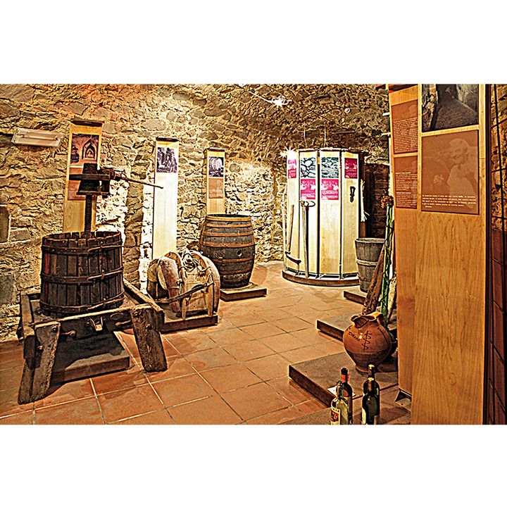 Museo della Vite e del Vino in Maremma di Scansano (Toscana)