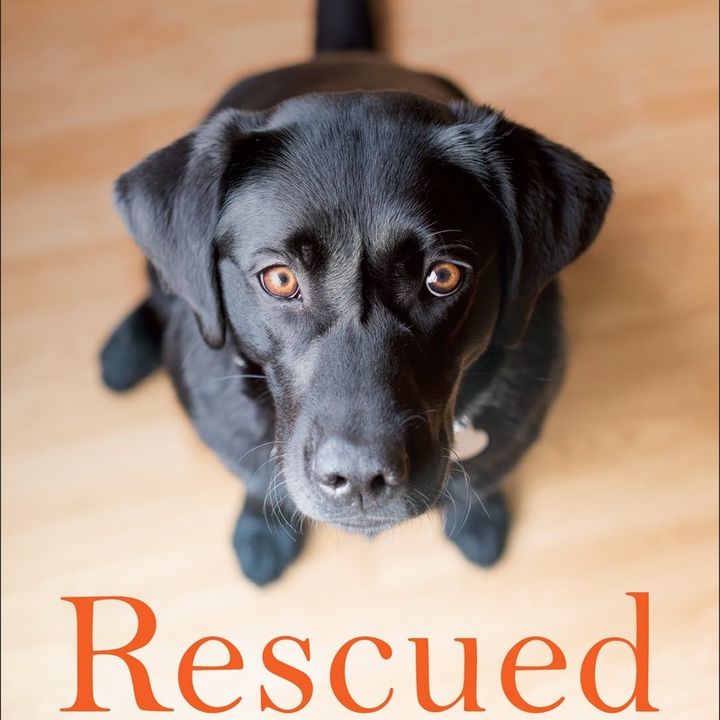 Big Blend Radio: Peter Zheutlin - Rescued:  What Second-Chance Dogs Teach Us About Living with Purpose, Loving with Abandon, and Finding Joy