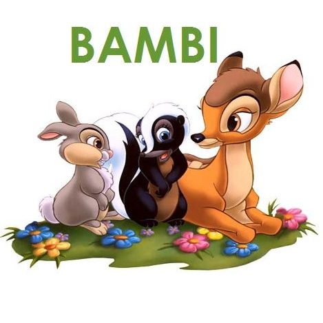 BAMBI ... la vita di un cerbiatto