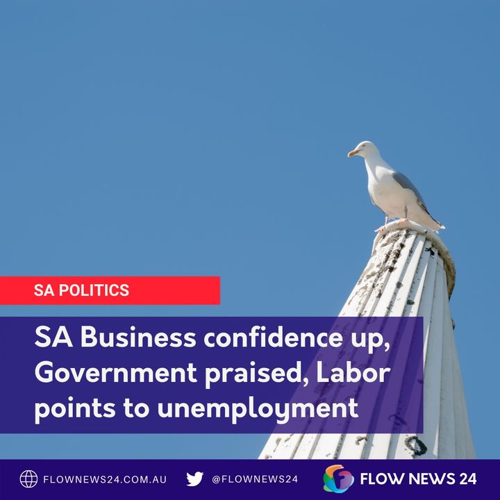 Regional SA's skills shortage and business confidence