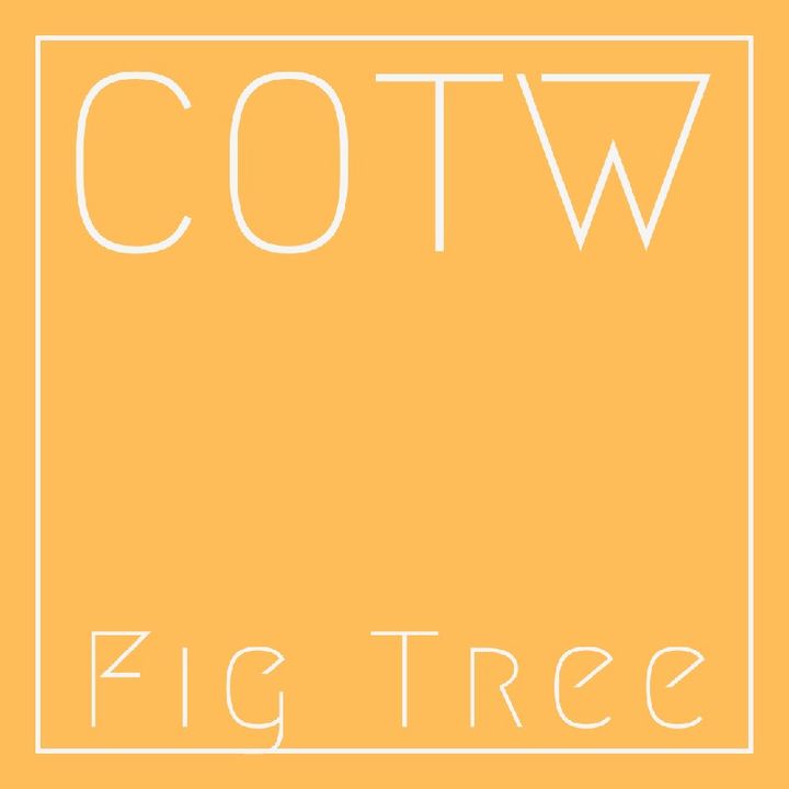 Ep.13 : Fig Tree