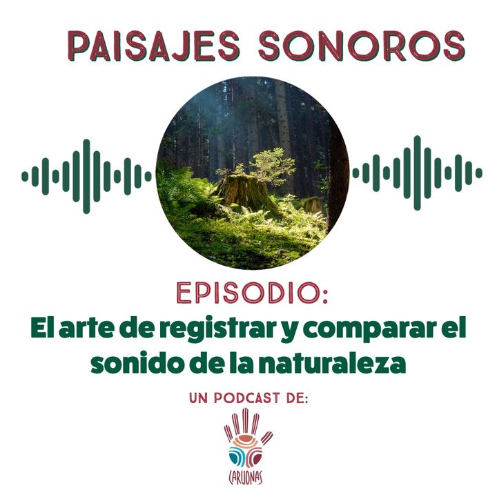 Paisajes Sonoros: el arte de registrar y comparar el sonido de la naturaleza