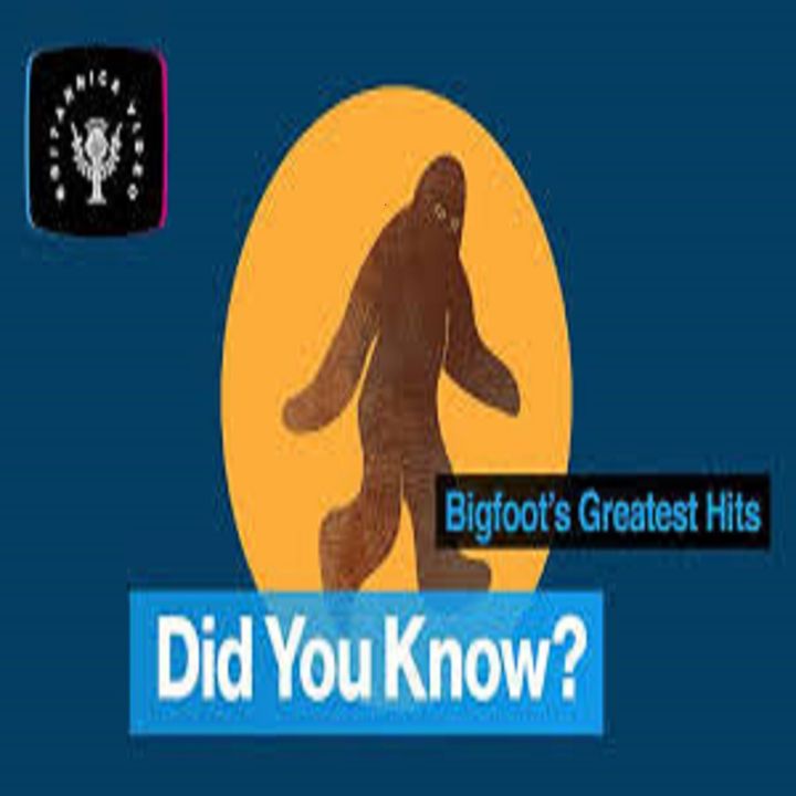 Don't Believe in Bigfoot? You might after watching (or listening to) this!