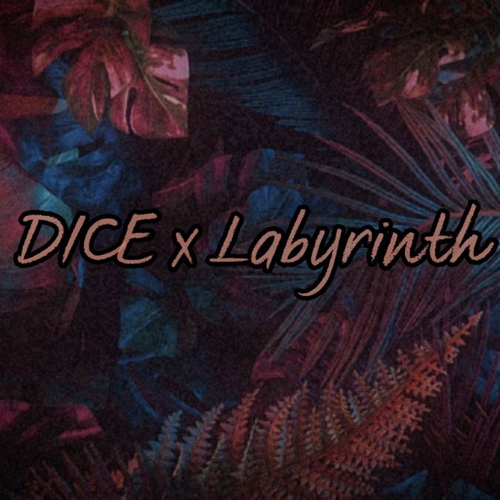 NMIXX DICE x 9lives Labyrinth (TikTok Remix)