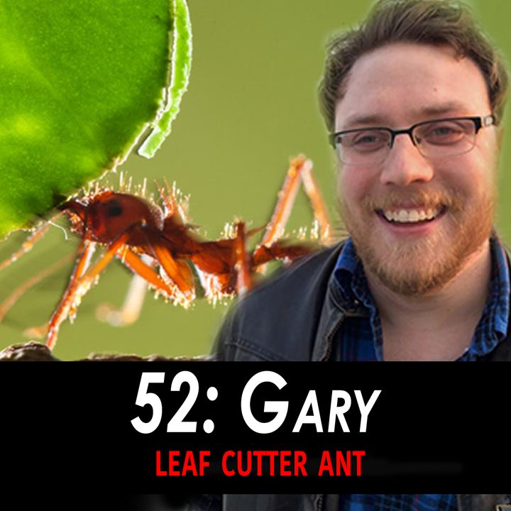 52 - Gary the Leaf Cutter Ant