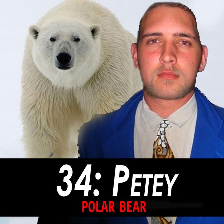 34 - Petey the Polar Bear
