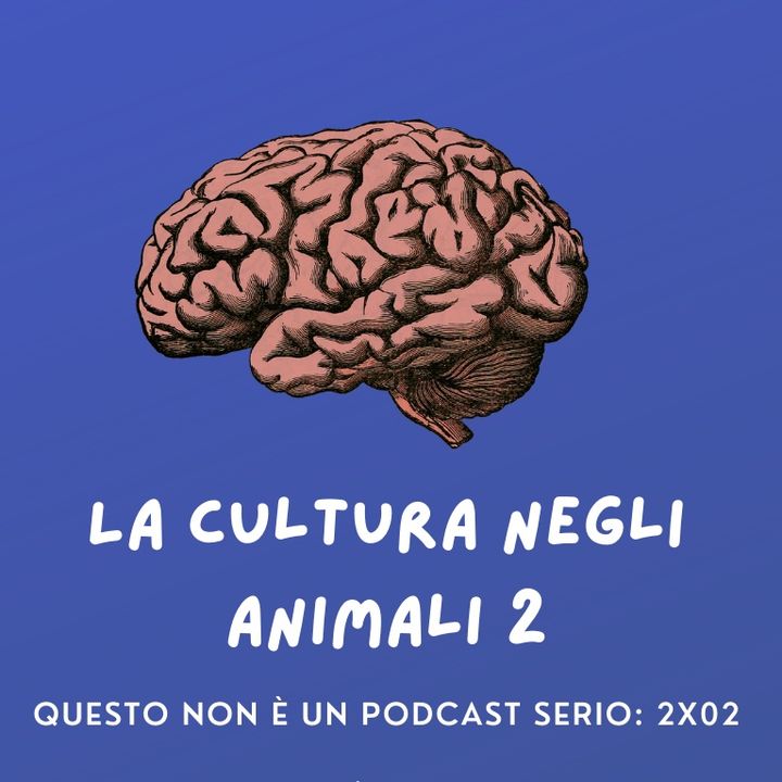 La cultura negli animali 2: 2x02 🧠