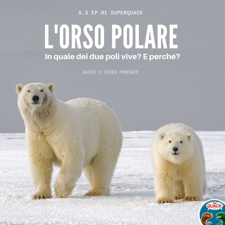 81 - L'Orso Polare, in quale polo vive? In Artide o in Antartide? Con Francesco Simonetta