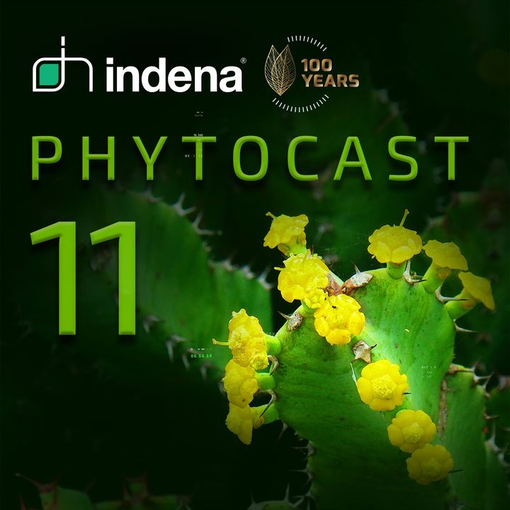 Phytocast 11: Learning from Nature