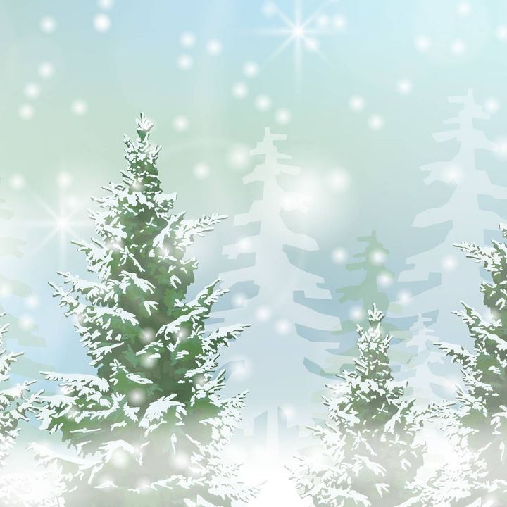 Il primo albero di Natale - Hermann Lons