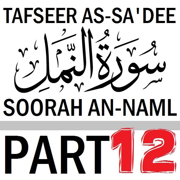 Soorah an-Naml Part 12: Verses 73-81