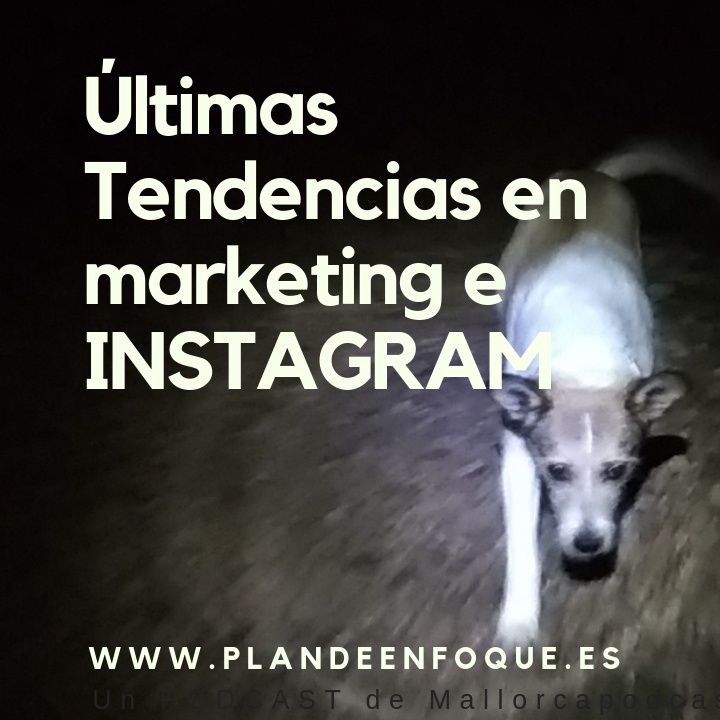 Últimas tendencias en marketing e instagram