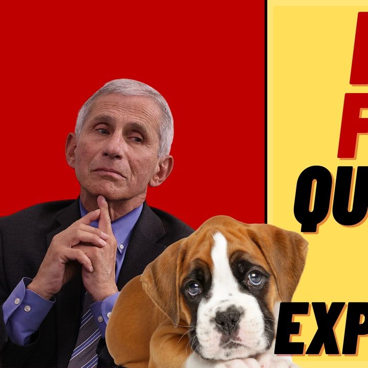 Did FAUCI Fund Puppy Medical Experiments?