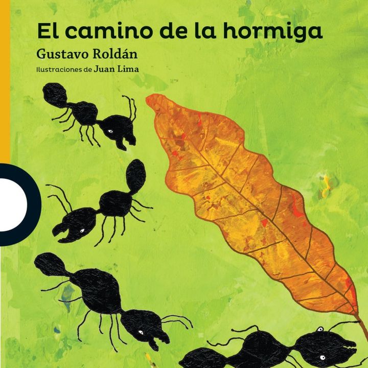 El camino de la hormiga,cuento infantil para niños y niñas