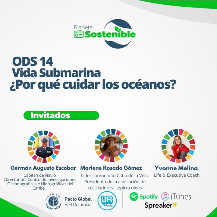 ODS 14 Vida Submarina: ¿porqué cuidar los océanos?