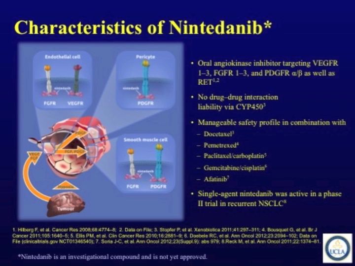 ASCO Lung Cancer Highlights, Part 11: Nintedanib with Second Line Chemotherapy for Advanced NSCLC (video)