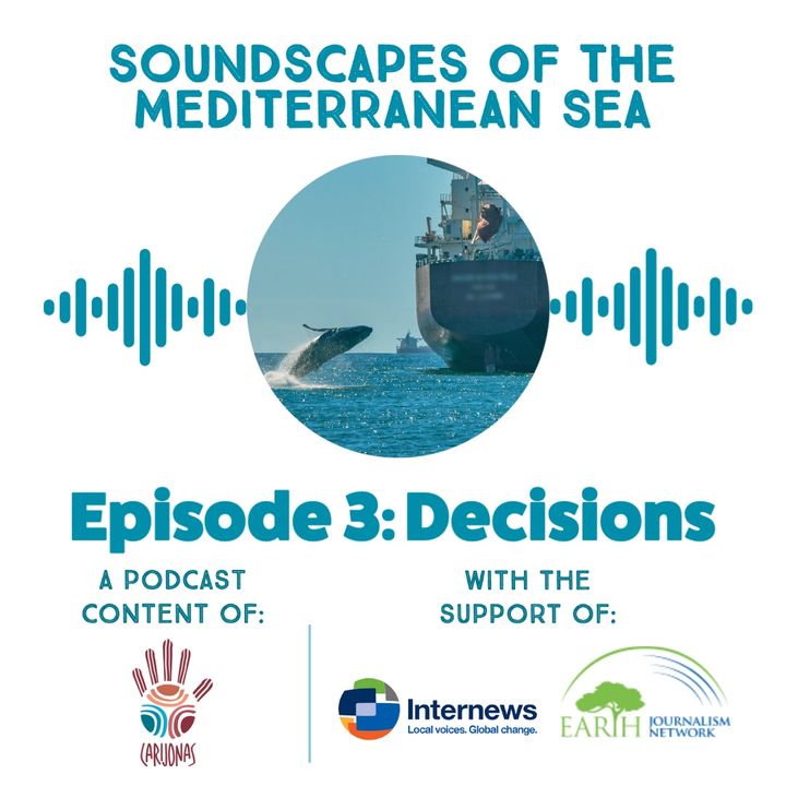 Soundscapes in the Mediterranean Sea. Episode 3: Decisions