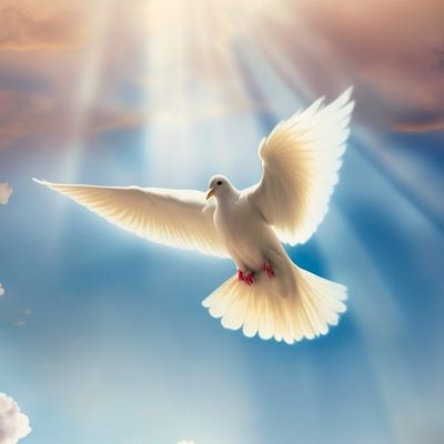 Baptism In The Holy Spirit Ask And You Shall Receive The Holy Spirit He Will Intercede You Need God’s Presence And Power Within You ! Amen !