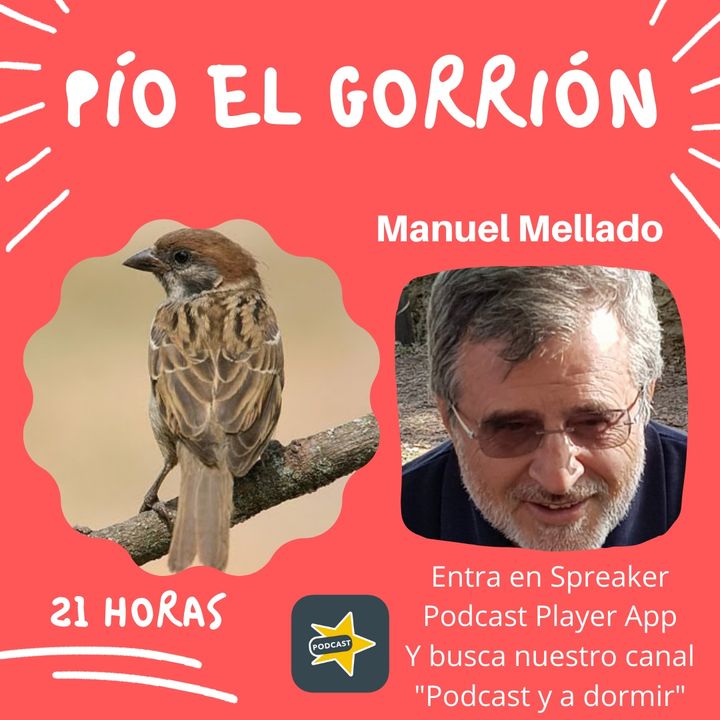 60. Pío el gorrión. Manuel Mellado.