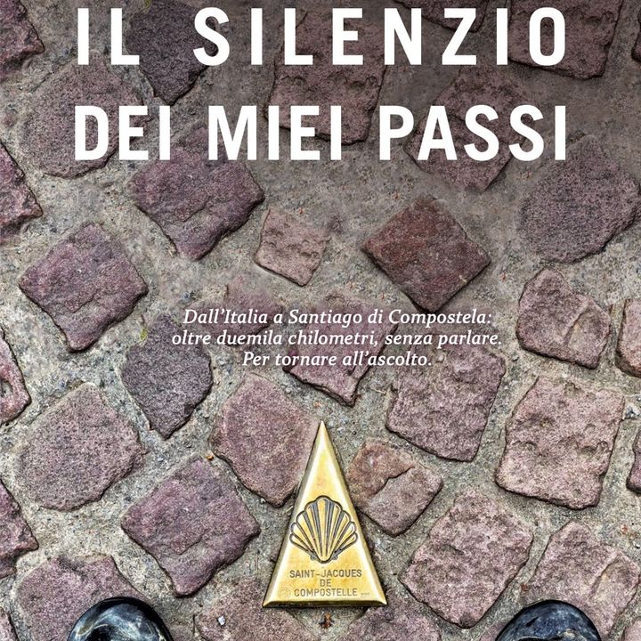 "Il silenzio dei miei passi", di Claudio Pelizzeni