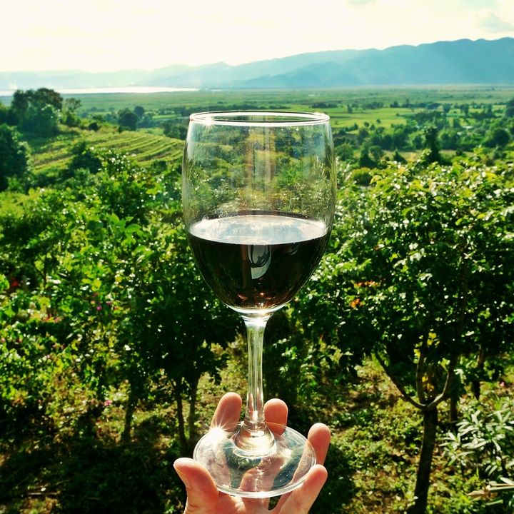 #25 - Viaggio nella Finger Lakes Wine Region: itinerario da New York all’Upstate NY