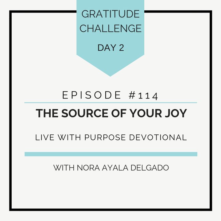 #114  GRATITUDE: The Source of Your Joy