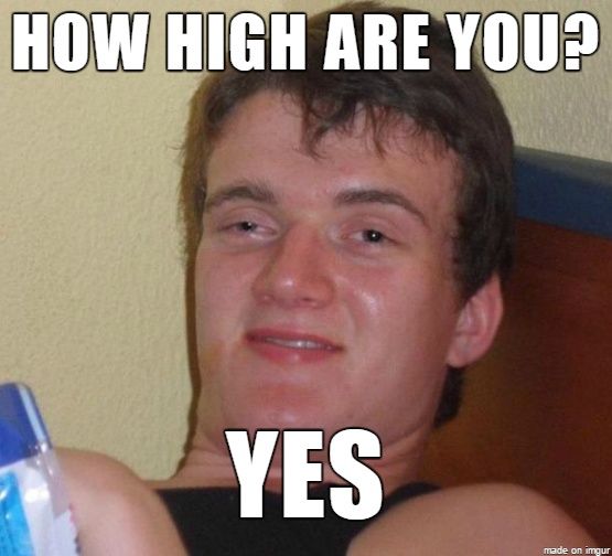 How High Were YOU?!!