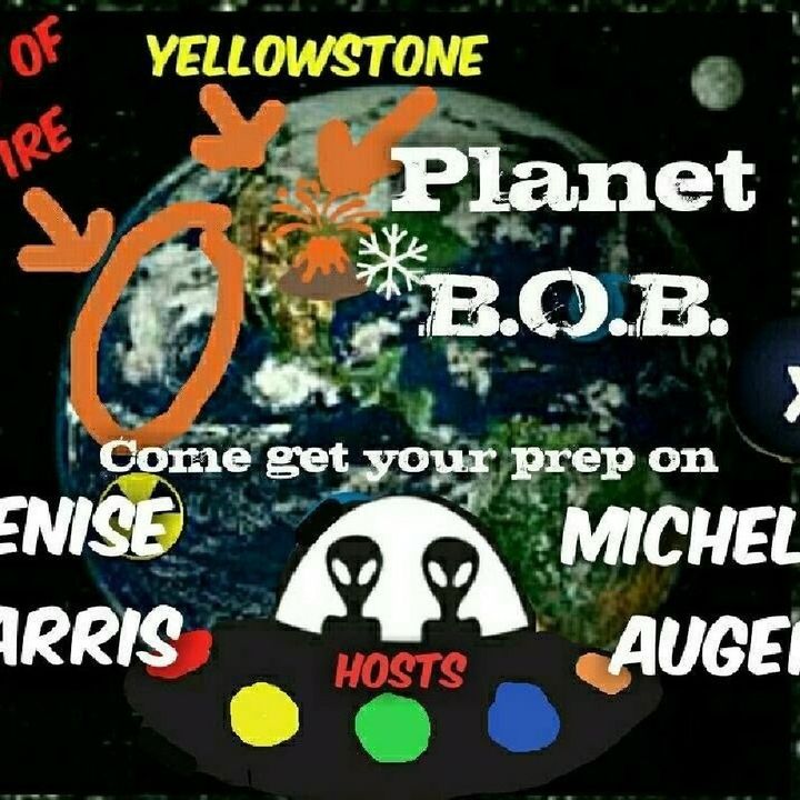 Planet B.O.B Survival