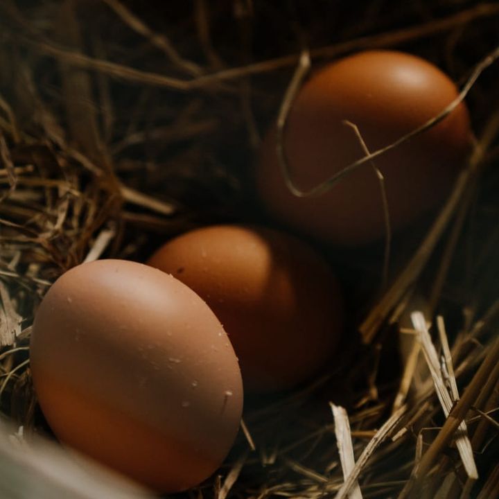 26/09/2022 - Cenário da produção de ovos