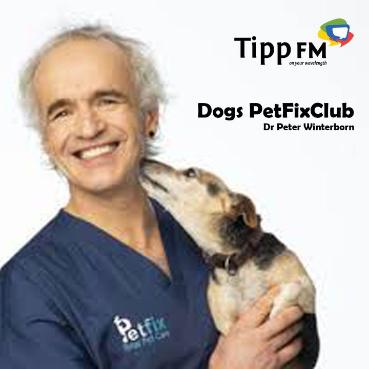 Dr Peter Winterborn talks about Dogs PetFixClub
