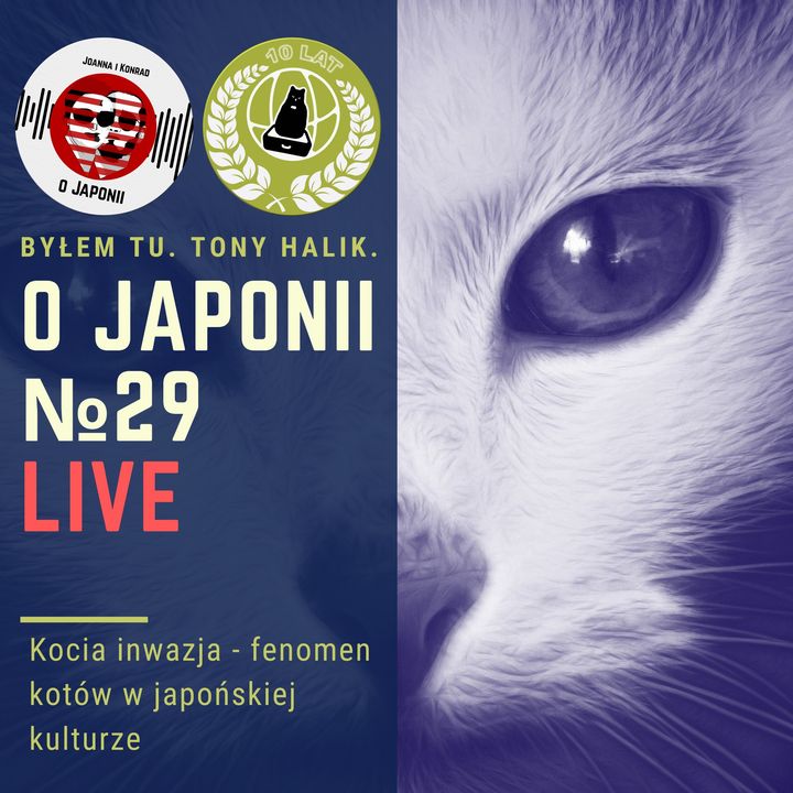 LIVE: Kocia inwazja - fenomen kotów w japońskiej kulturze