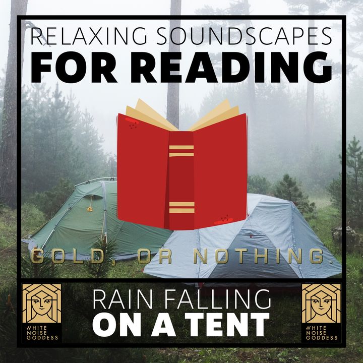 dodelijk Melancholie scherp Rain Falling On Tent | Relaxing Soundscape For Reading | Studying |  Concentration | Mindfulness