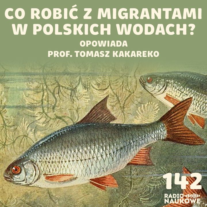 #142 Ryby nasze i obce - cisi mieszkańcy Rzeczypospolitej | prof. Tomasz Kakareko, Michał Mięsikowski