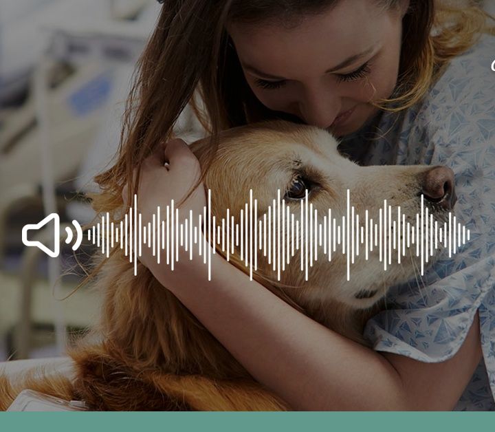 Cos’è la pet therapy – Ascolta il podcast!
