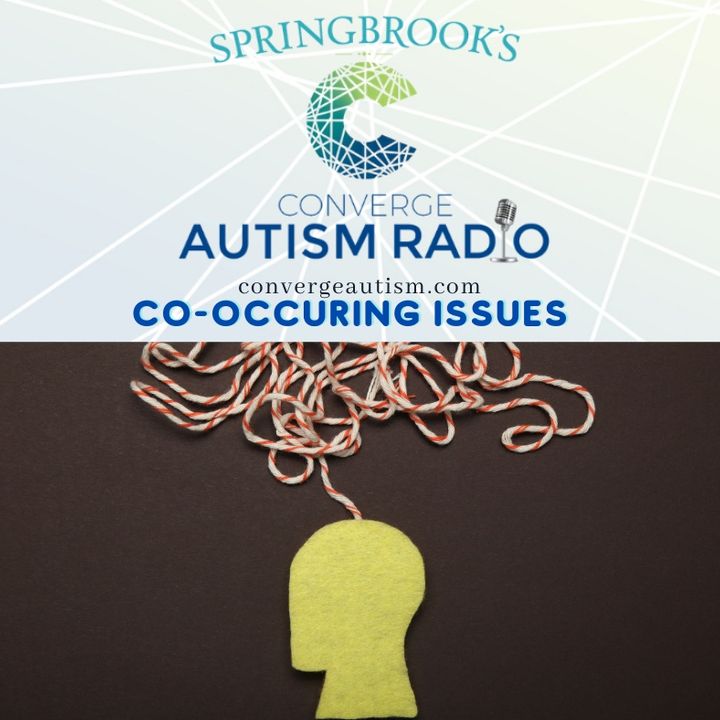 Autism and Co-occurring Issues