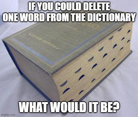 Dumb Ass Question: If You Could Delete One Word From the Dictionary
