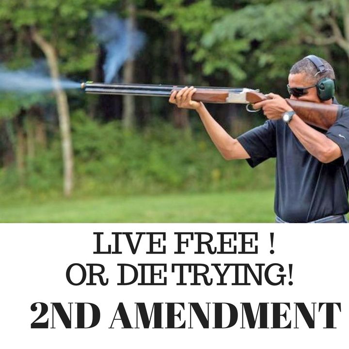 Black People #ADOS  Guns 2nd Amendment