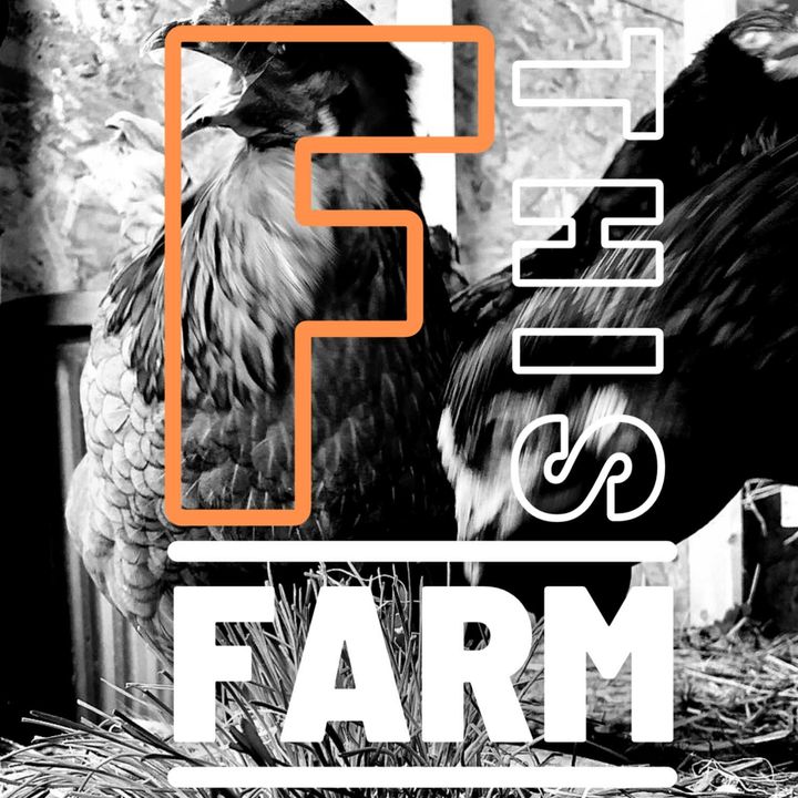F This Farm - A beginning farmer's saga