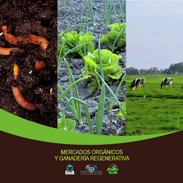 NUESTRO OXÍGENO Mercados orgánicos y ganadería regenerativa - Italo Sardi