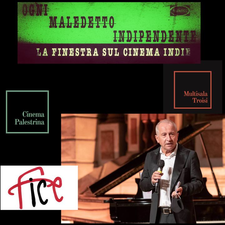 #25 Ogni Maledetto Indipendente - La finestra sul cinema Indie. Domenico Dinoia, Presidente F.I.C.E.