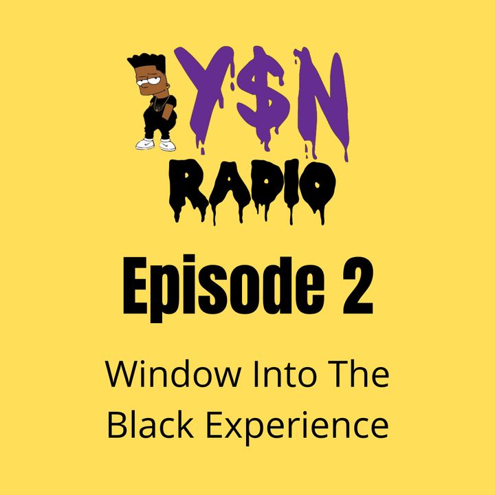 Window Into The Black Experience