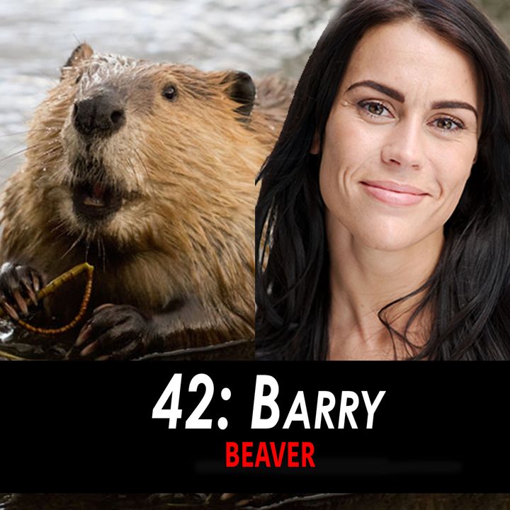 42 - Barry the Beaver
