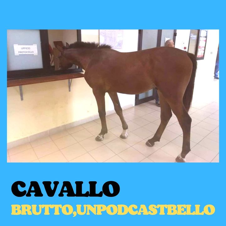 Ep #775 - Cavallo