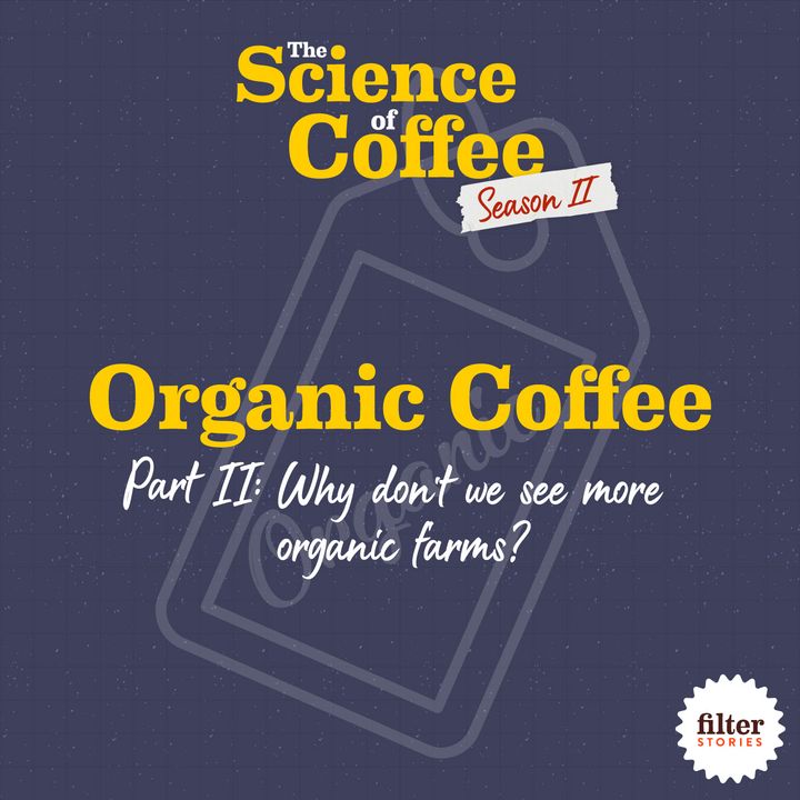 Organic Coffee, Part 2: Why don't we see more organic coffee farms?