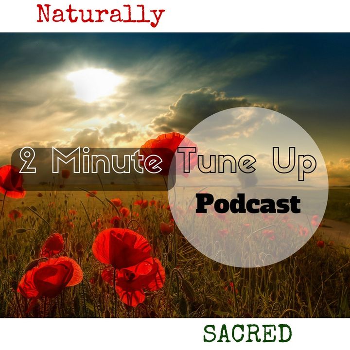 Two Minute Tune Up Podcast