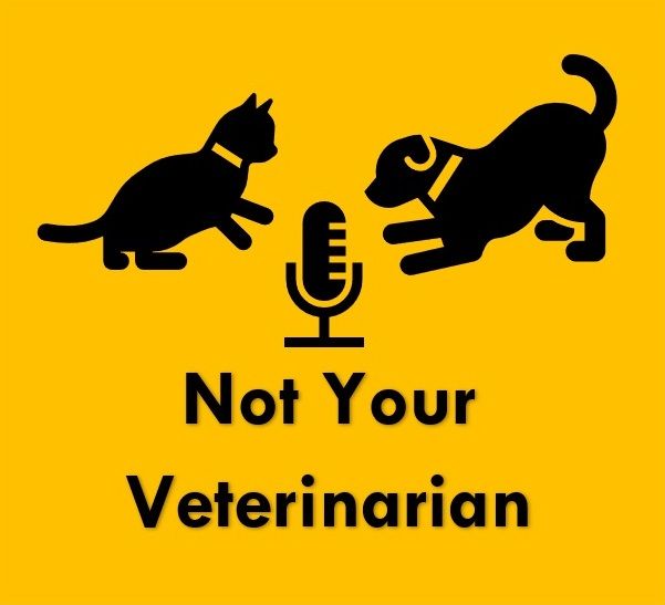 Not Your Veterinarian
