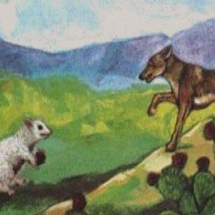 El coyote y el tlacuache
