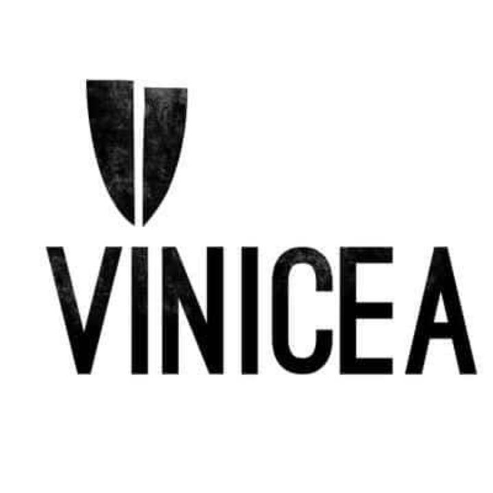 Vinicea - Paolo Angelino