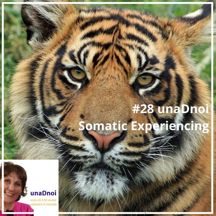 #28_SOMATIC EXPERIENCING, gestione del trauma. Intervista a Dina Barnett
