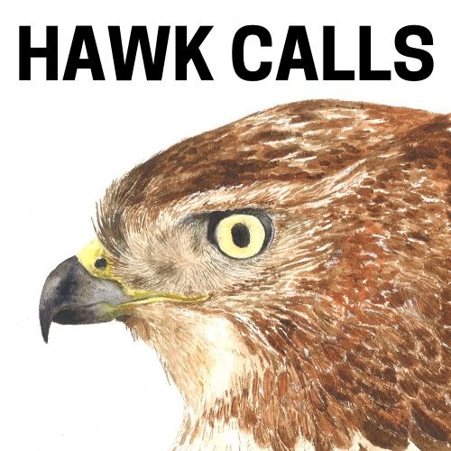 Hawk Calls